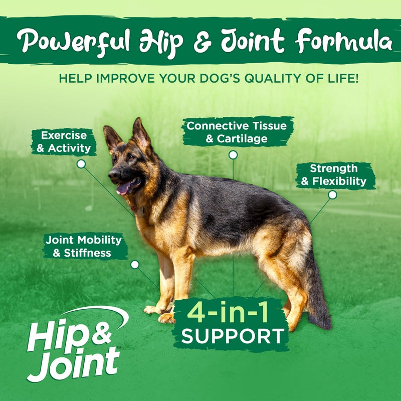 Vital Planet - Hip and Joint Soft Chews for Dogs, with Glucosamine, MSM, and Collagen from Green-Lipped Mussel - 30 Bacon Flavored Soft Chews - Image 4